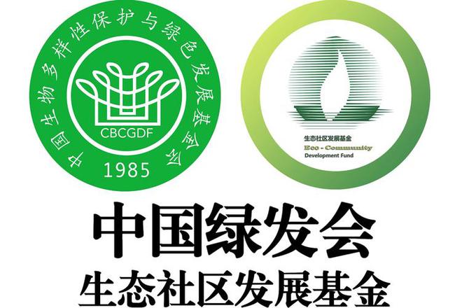 扒父亲背景不一般绿发会受牵连哈佛蒋雨融事升级！更多黑料被(图3)