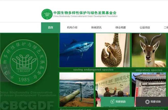 扒父亲背景不一般绿发会受牵连哈佛蒋雨融事升级！更多黑料被(图15)